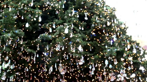 Defocusing christmas tree with nice colors and lights Stock-Footage 58088368