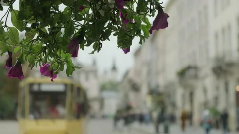 Defocussed tram in Lviv Stock Footage 169497270
