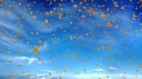 Defoliation on the background of the cloudy sky. Vídeos de archivo 10212908