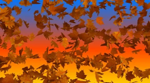 Defoliation Stock Footage 10929680