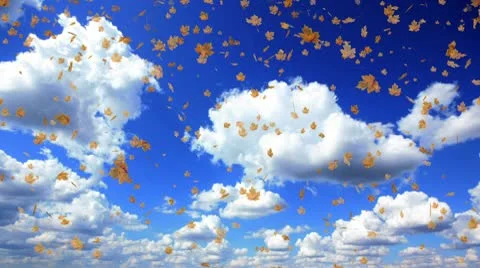 Defoliation with timelapse cloudy sky. Video stock 10208335