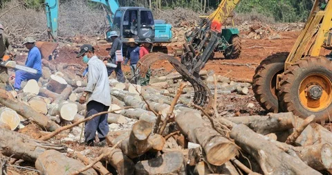 Deforestation activity on logging site. Thailand rainforest deforestation Stock Footage 100846878