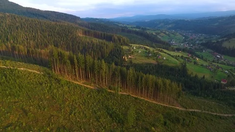 Deforestation. Aerial drone view of forest destroyed in Ukraine. Stock Footage 98130739