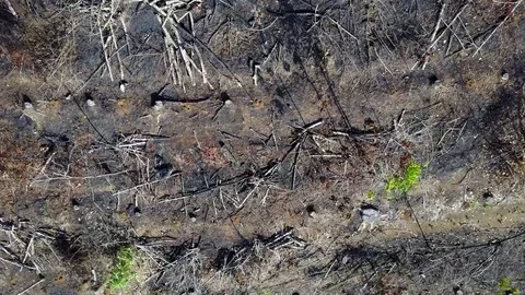 Deforestation aerial view Stock Footage 75285147