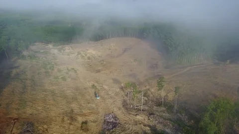 Deforestation aerial view Stock Footage 77351497