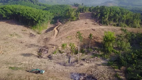Deforestation aerial view Stock Footage 77362041