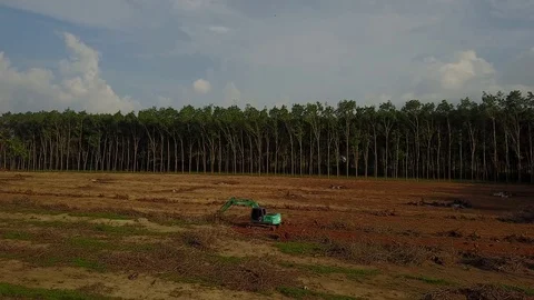 Deforestation aerial view Stock Footage 77376012