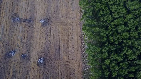 Deforestation aerial view Stock Footage 77377013