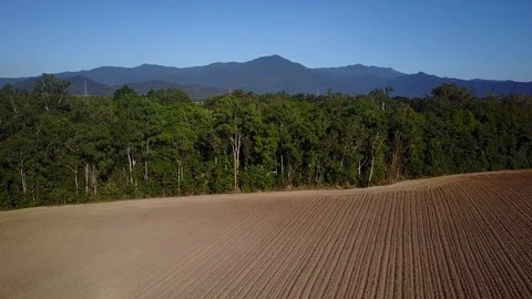Deforestation aerial view Stock Footage 80859567