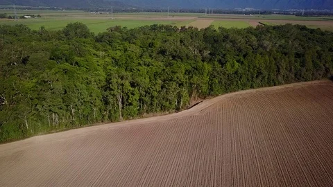 Deforestation aerial view Stock Footage 80860040