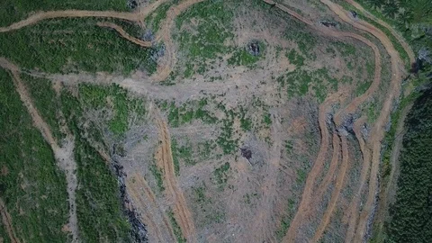 Deforestation aerial view Stock Footage 81314599