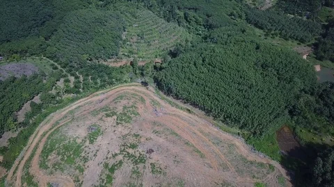 Deforestation aerial view Stock Footage 81314609