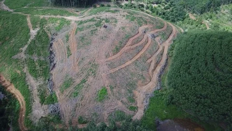 Deforestation aerial view Stock Footage 81314612