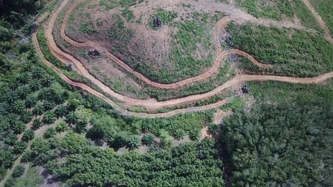 Deforestation aerial view Stock-Footage 81314631