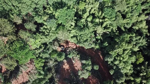 Deforestation aerial view Stock-Footage 81428043