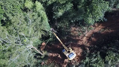 Deforestation aerial view Stock Footage 81428168
