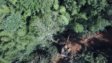 Deforestation aerial view Video stock 81428219