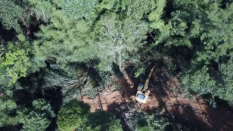 Deforestation aerial view Stock Footage 81428267