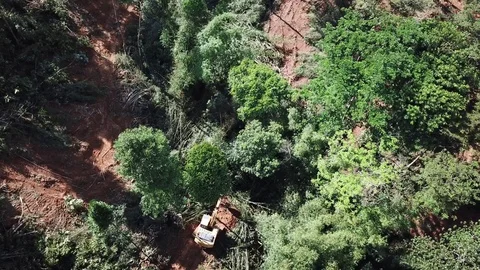 Deforestation aerial view Stock Footage 81428569