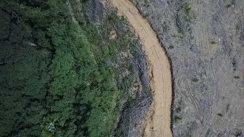 Deforestation aerial view Stock Footage 81950237