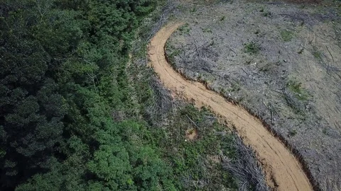 Deforestation aerial view Stock-Footage 81950280
