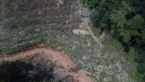 Deforestation aerial view Stock Footage 81950578
