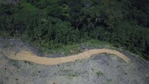 Deforestation aerial view Stock Footage 81950643