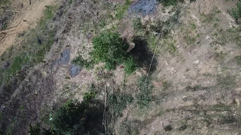 Deforestation aerial view Video stock 82048545