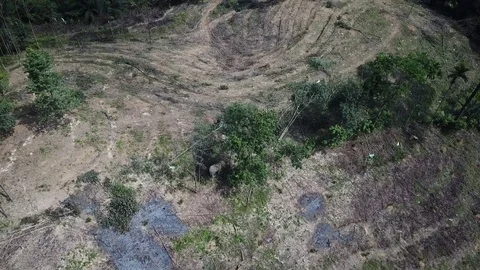 Deforestation aerial view Stock Footage 82048620