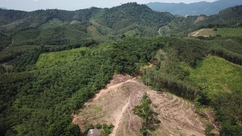 Deforestation aerial view Stock Footage 82048655