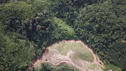 Deforestation aerial view Stock Footage 82737026