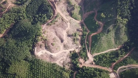 Deforestation aerial view Stock Footage 83722046