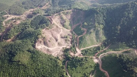 Deforestation aerial view Stock Footage 83722627