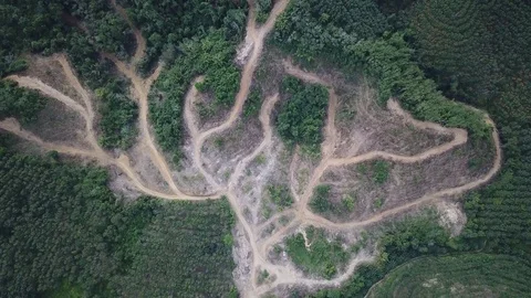 Deforestation aerial view Stock Footage 83873678