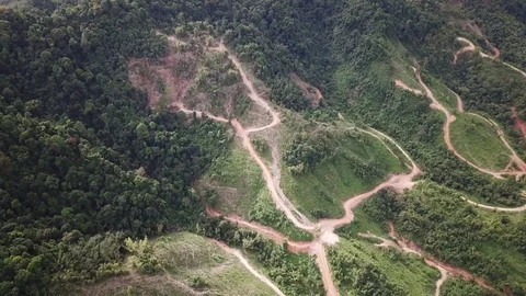 Deforestation aerial view Video stock 83874061