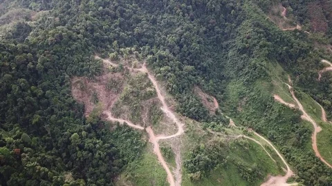 Deforestation aerial view Stock Footage 83874062