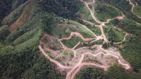 Deforestation aerial view Stock Footage 83874064