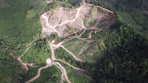 Deforestation aerial view Stock Footage 83984115