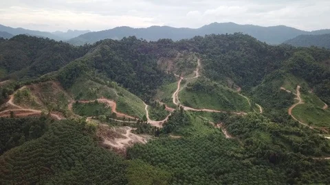 Deforestation aerial view Stock Footage 84000071