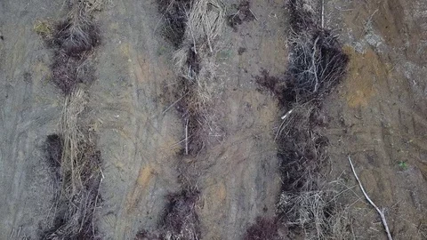 Deforestation aerial view Stock Footage 84044136