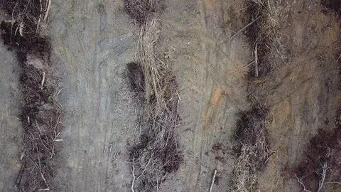 Deforestation aerial view Stock Footage 84044177