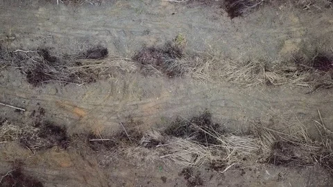 Deforestation aerial view Stock Footage 84044268