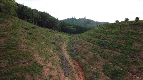 Deforestation aerial view Stock Footage 84045315