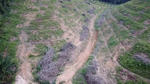 Deforestation aerial view Stock-Footage 84052260