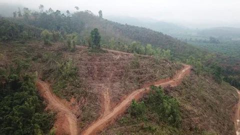 Deforestation aerial view Video stock 84815353