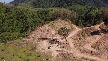 Deforestation aerial view Stock Footage 86151282