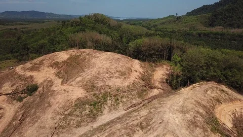 Deforestation aerial view Stock Footage 86151331