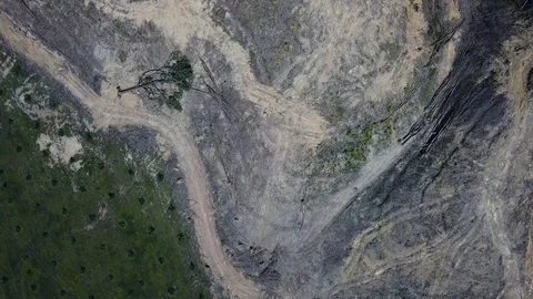 Deforestation aerial view Stock Footage 86151392