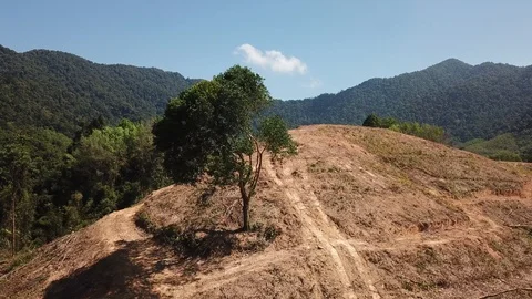 Deforestation aerial view Stock Footage 86152058