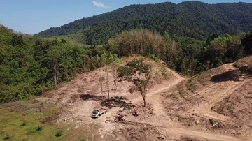 Deforestation aerial view Stock Footage 86152133